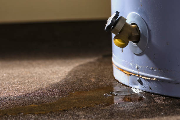 Trusted Clyde Hill, WA Water damage restoration Experts
