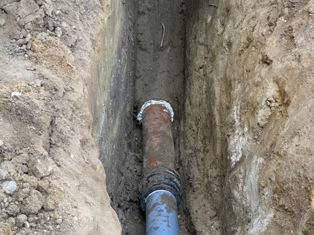 Best Basement water damage restoration  in Clyde Hill, WA