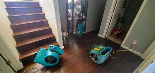 Best Water damage restoration near me  in Clyde Hill, WA