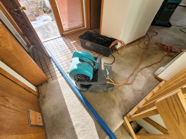 Best Water damage restoration near me  in Clyde Hill, WA