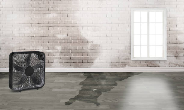 24/7 water damage repair in Clyde Hill, WA
