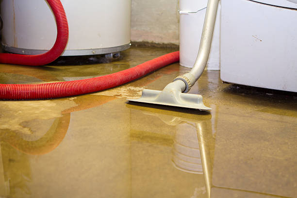 Best Carpet water damage restoration  in Clyde Hill, WA