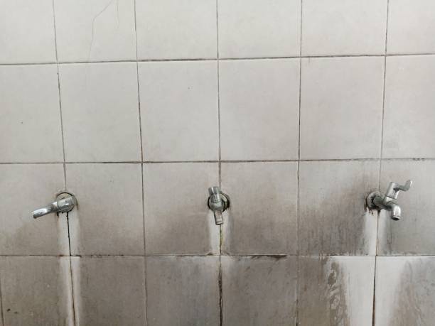 Best Commercial water damage restoration  in Clyde Hill, WA