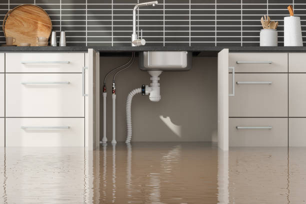 Best Water damage restoration mold remediation  in Clyde Hill, WA