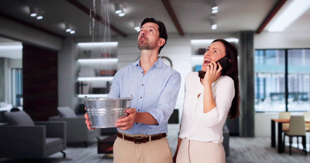 Best Water damage cleanup near me  in Clyde Hill, WA