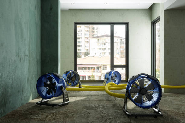 Water damage restoration mold remediation in Clyde Hill, WA